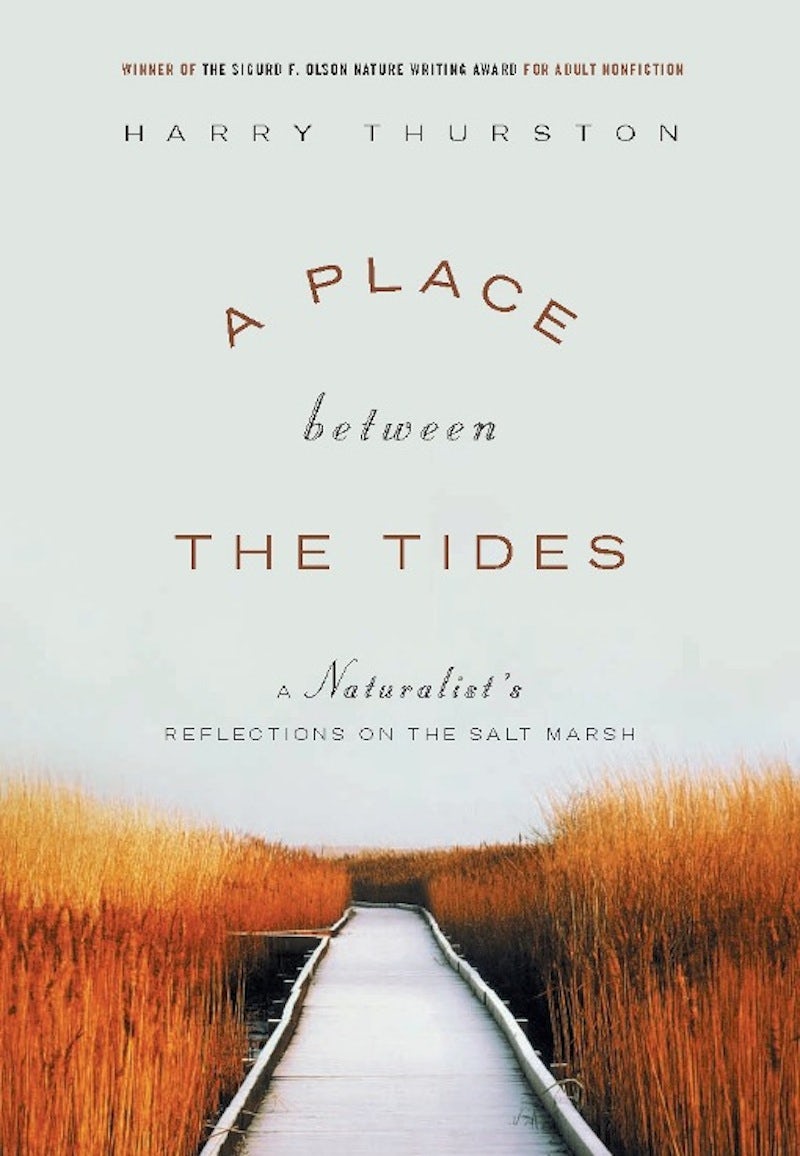 Book cover image for A Place Between the Tides ISBN: 9781553650355
